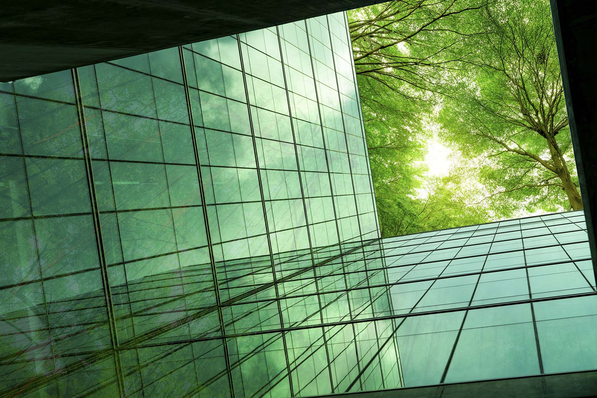 Grand groupe immobilier