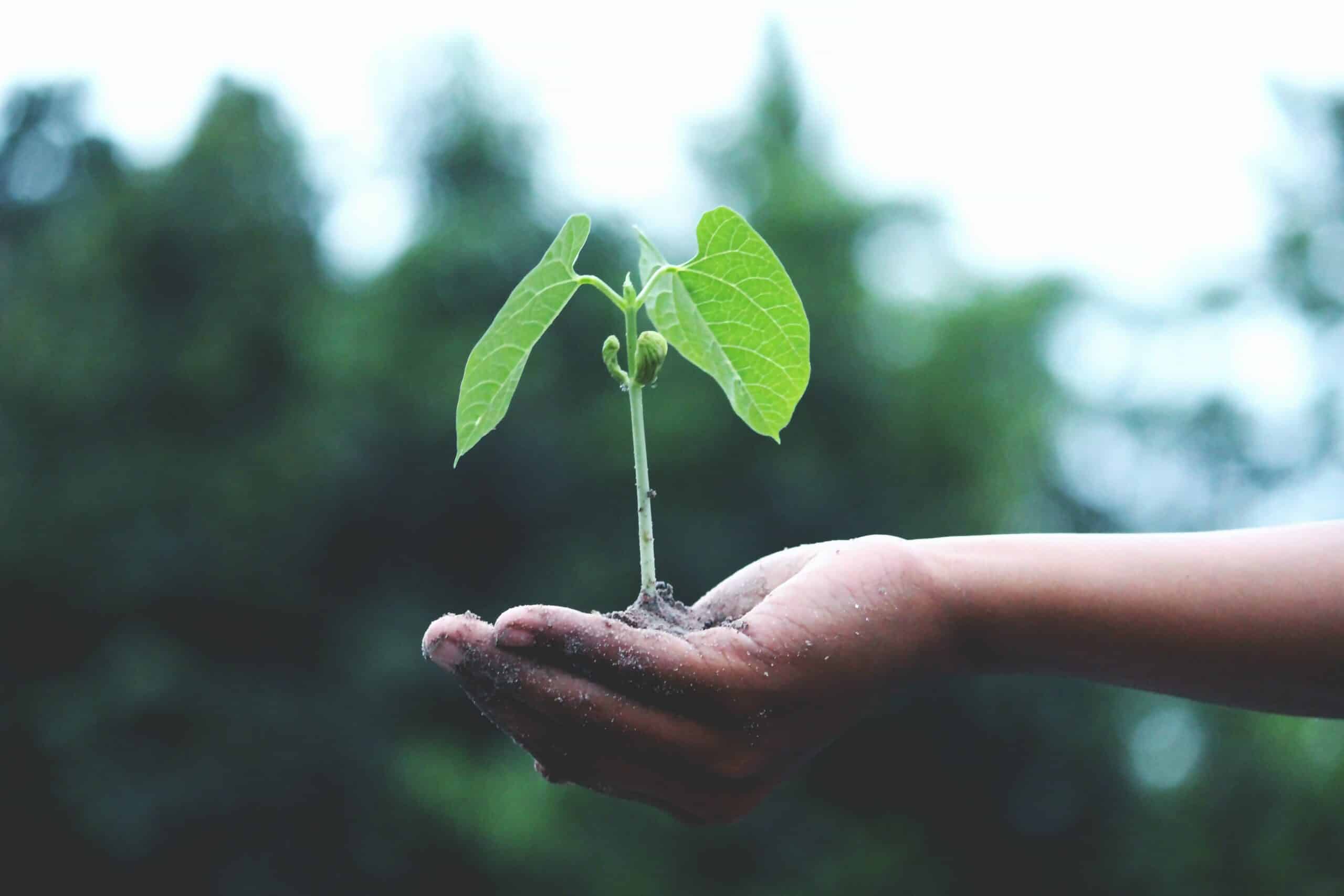 Responsabilité environnementale Klint